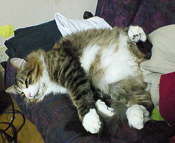 c0145016_18364664.jpg