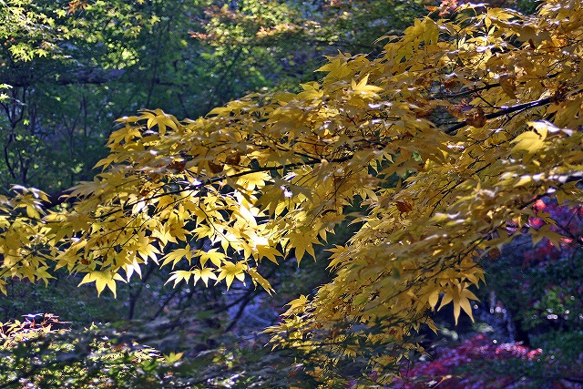a0087818_17451097.jpg