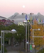 e0057018_11523920.jpg