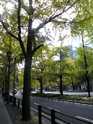 e0110119_20284964.jpg