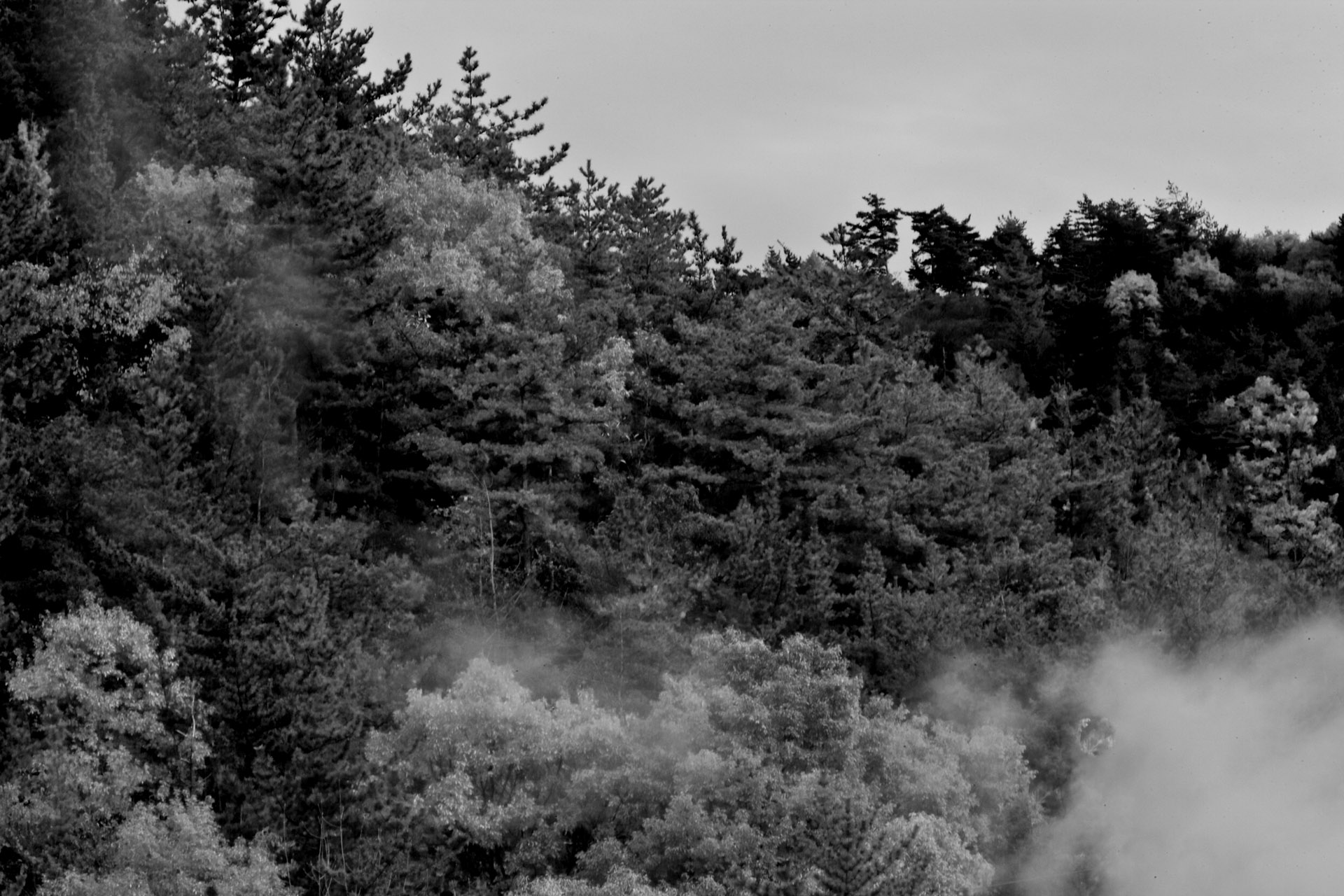 d0073620_1722144.jpg