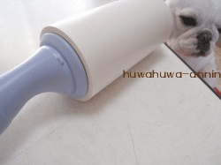f0155120_1793055.gif