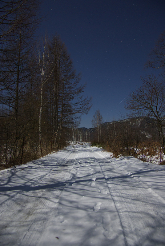 c0057221_7302046.jpg