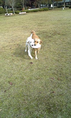 c0114121_2124244.jpg