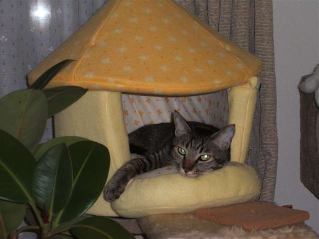 d0046821_17153978.jpg