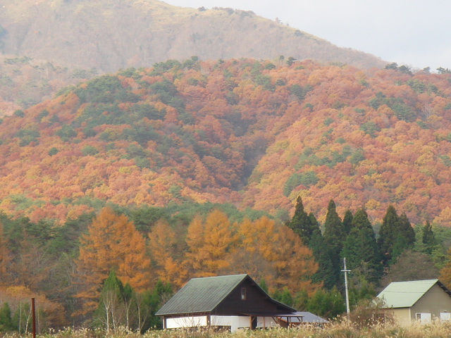 c0009224_21552681.jpg