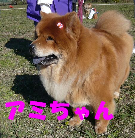 a0048526_013490.jpg