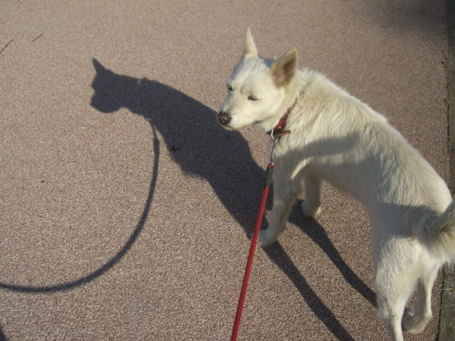c0123029_148559.jpg