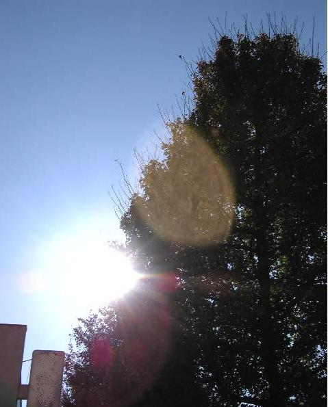 f0067630_23225550.jpg