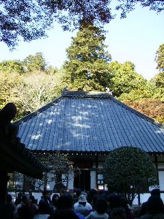 d0020834_23452753.jpg