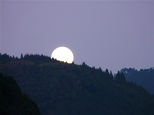 a0056140_23502575.jpg