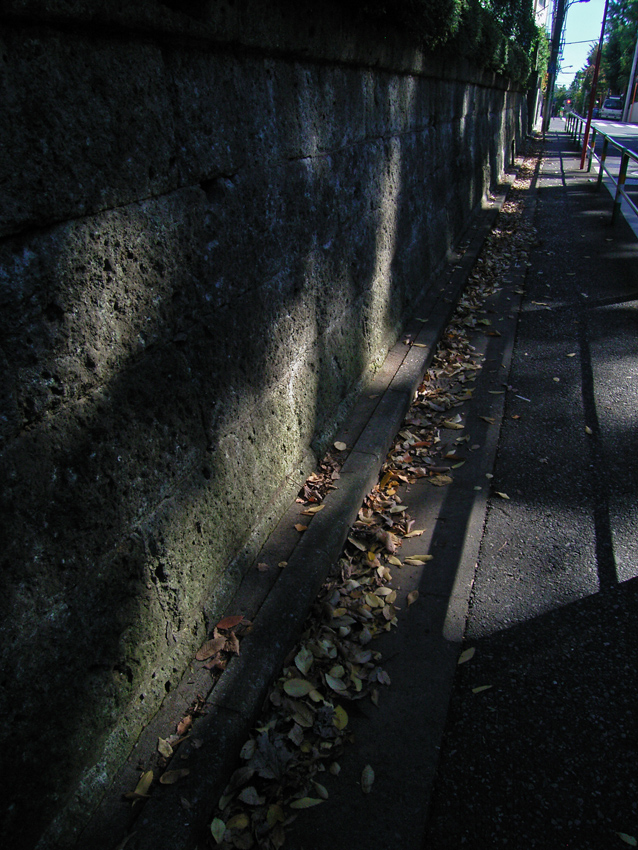a0049142_802364.jpg