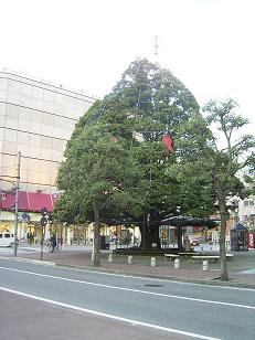 c0117442_21501217.jpg