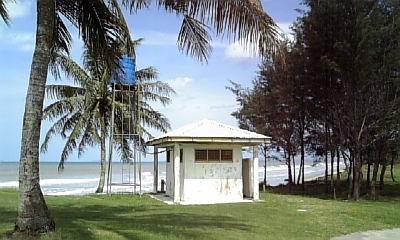 c0038548_16141454.jpg