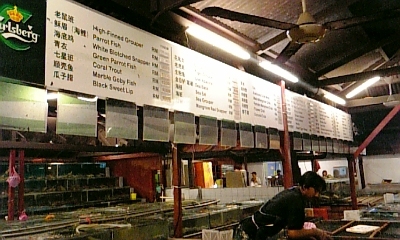 c0038548_16791.jpg