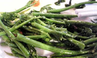 c0038548_1682831.jpg