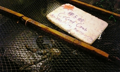 c0038548_168447.jpg