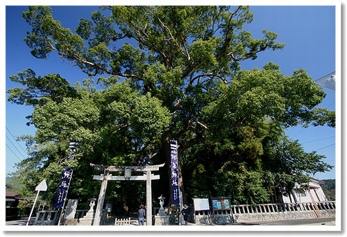 ＜２８＞比木神社（木城町）_c0150049_2031879.jpg