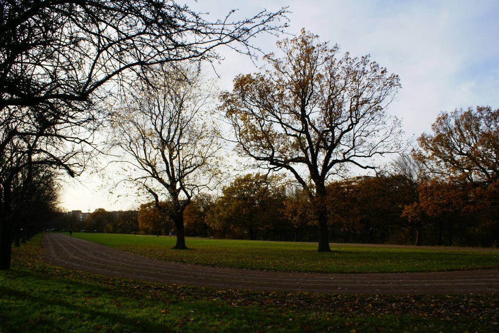 c0105551_3284392.jpg