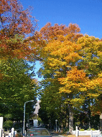 c0025852_100791.gif