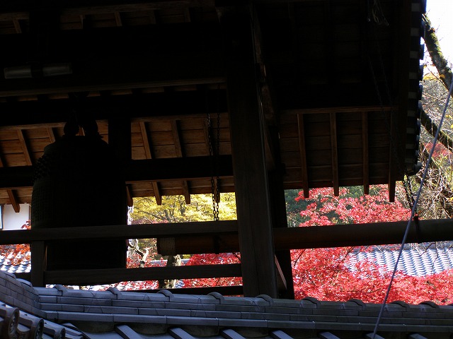 a0018655_1711591.jpg