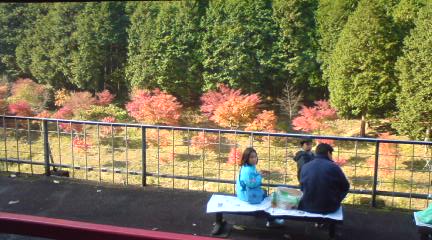c0105957_001040.jpg