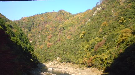 c0105957_005496.jpg
