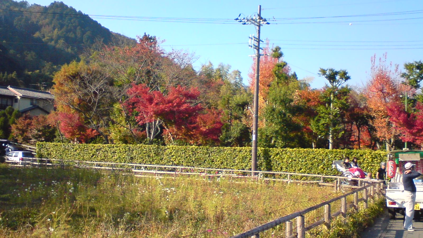 c0105957_016899.jpg