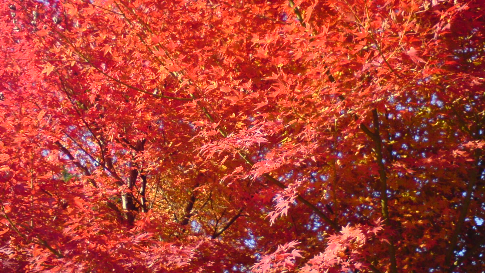 c0105957_0191826.jpg
