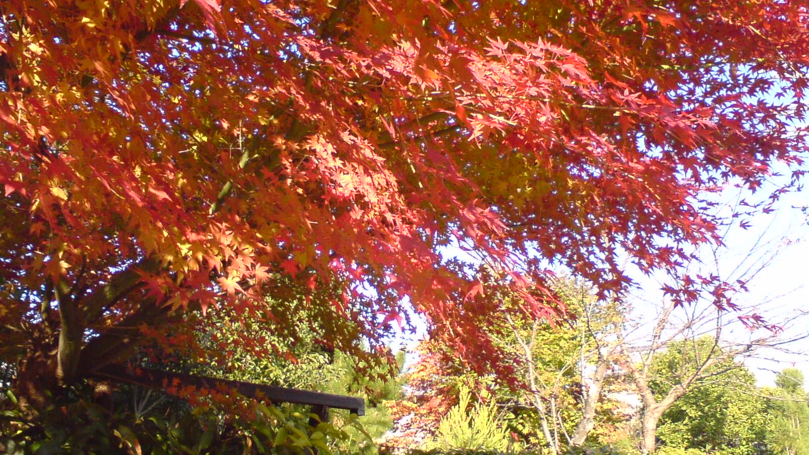 c0105957_0202236.jpg