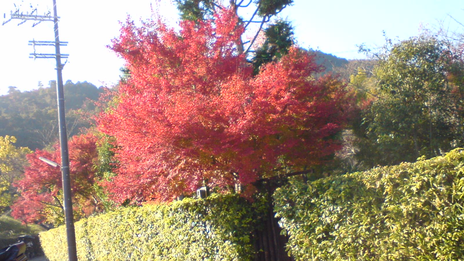 c0105957_0204841.jpg