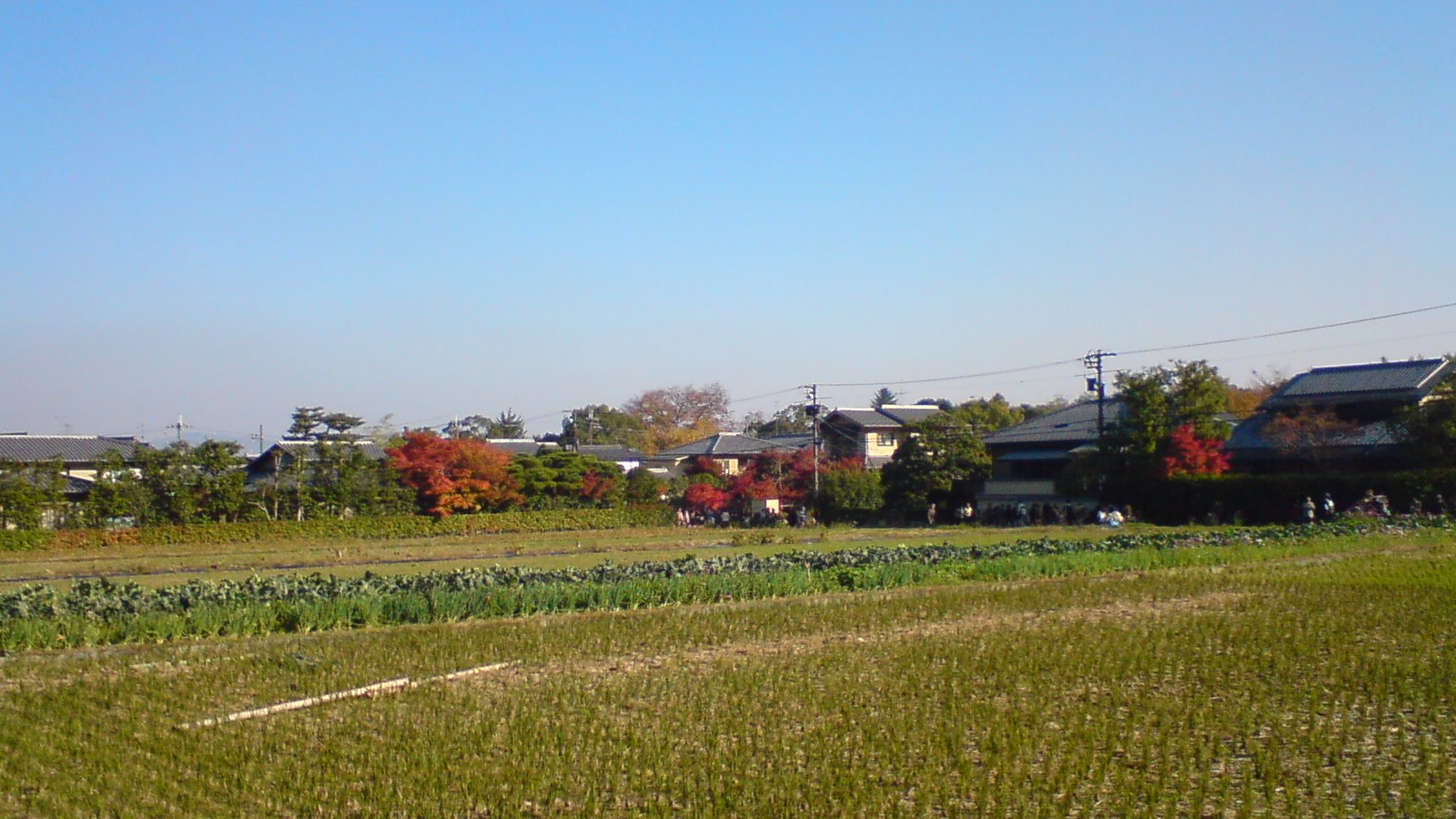 c0105957_021426.jpg