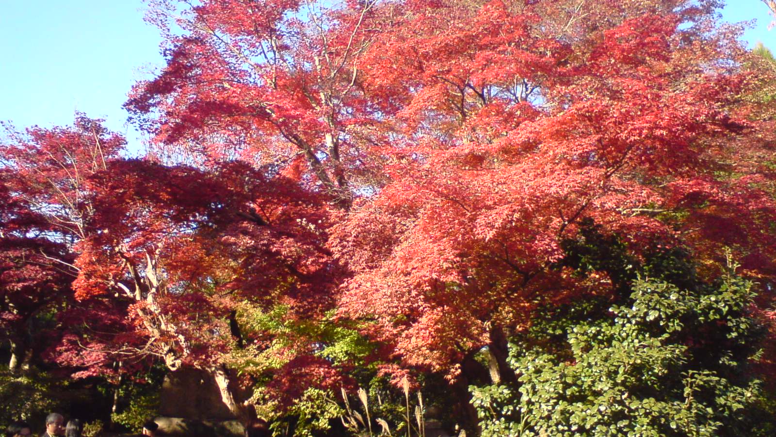 c0105957_0215557.jpg