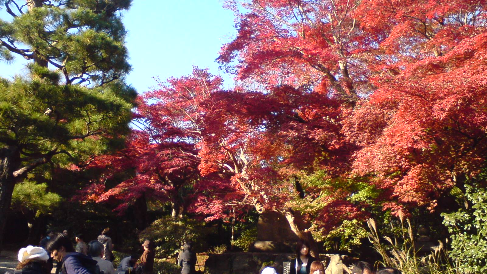 c0105957_0225564.jpg