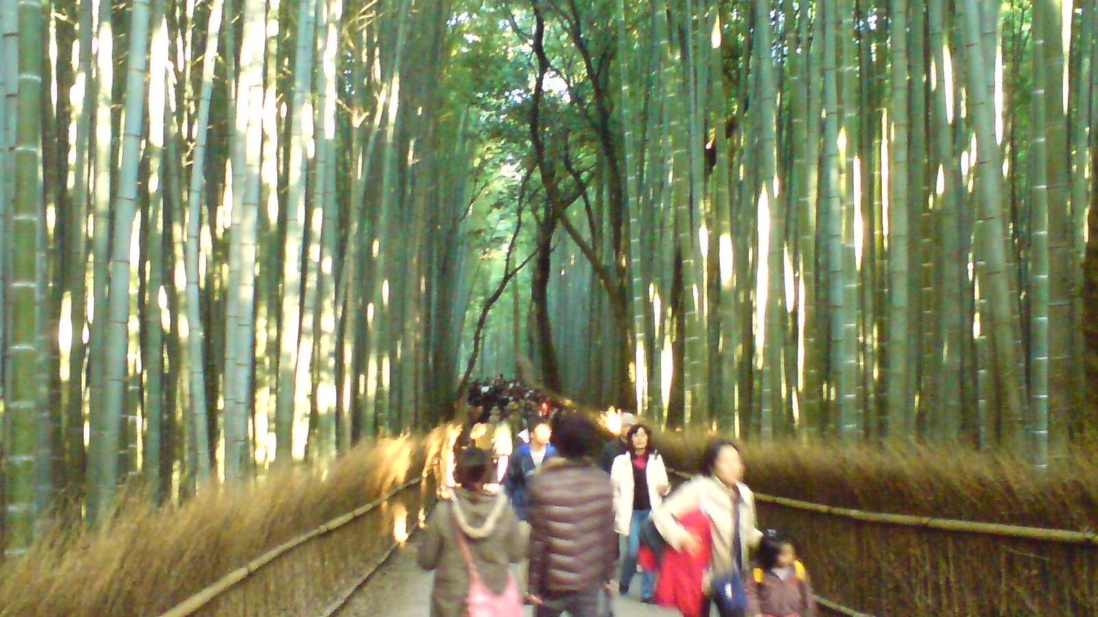 c0105957_028396.jpg