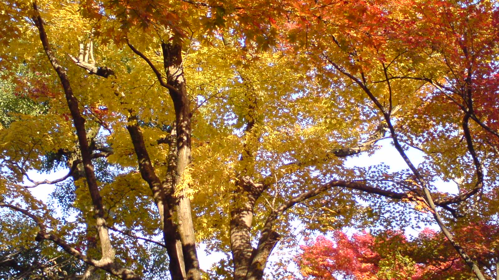 c0105957_0322034.jpg