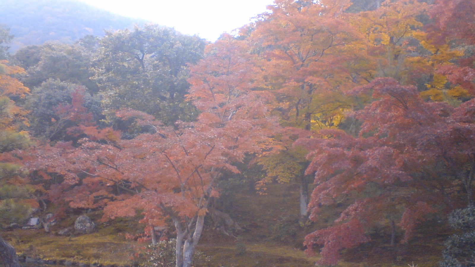 c0105957_0331686.jpg