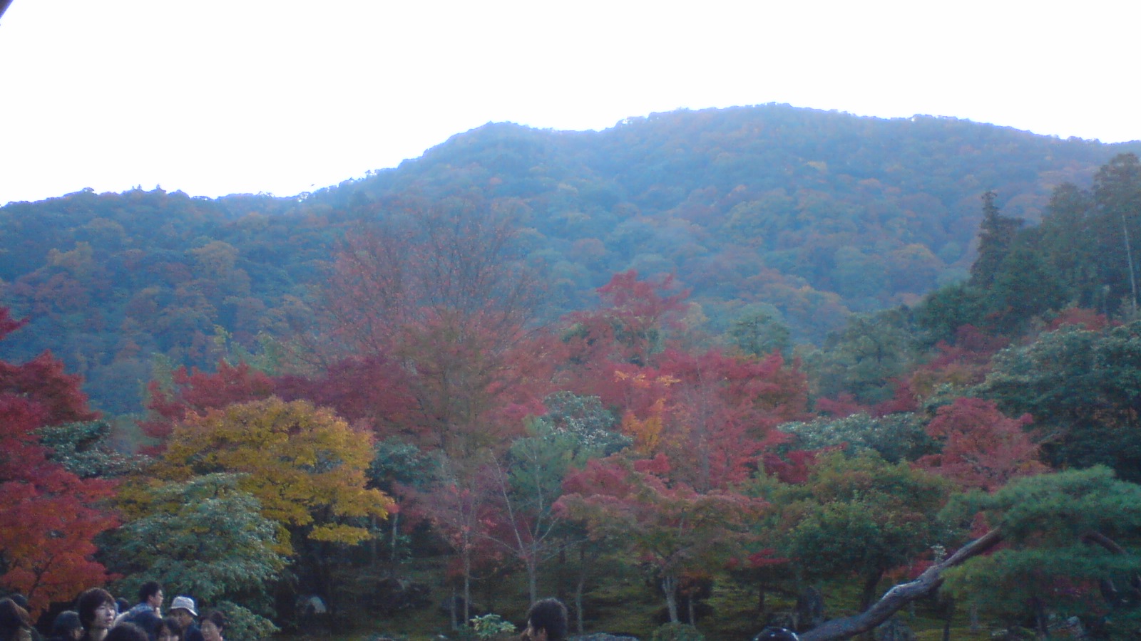 c0105957_0334446.jpg