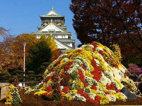 紅葉の大阪城公園（８）大阪城菊の祭典_b0063958_15111758.jpg