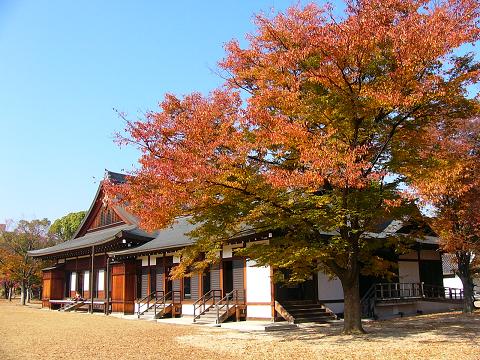紅葉の大阪城公園 9 西の丸庭園の紅葉 たんぶーらんの戯言 紅葉の大阪城公園 9 西の丸庭園の紅葉 たんぶーらんの戯言
