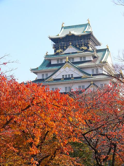 紅葉の大阪城公園 9 西の丸庭園の紅葉 たんぶーらんの戯言 紅葉の大阪城公園 9 西の丸庭園の紅葉 たんぶーらんの戯言