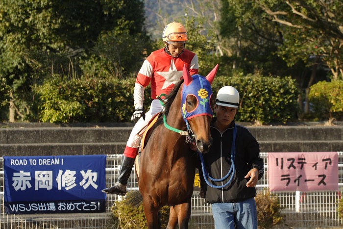 地方競馬代表騎手は、高知競馬場の赤岡修次騎手!!_a0077663_1973470.jpg