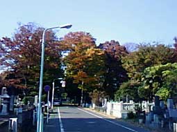 d0069964_9452458.jpg