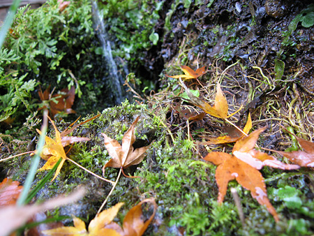 c0104371_11354579.jpg