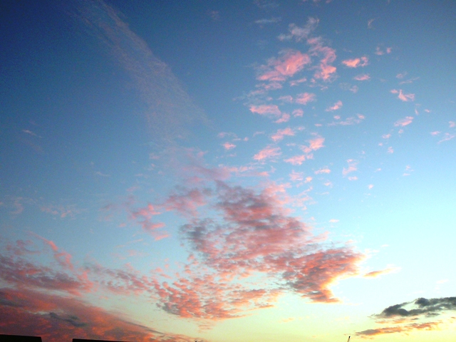 京都駅ビルからの夕景_d0042474_16505863.jpg