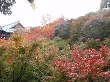 東福寺_b0092475_20161454.jpg