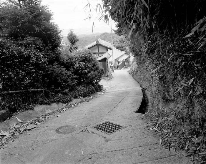 c0131875_333845.jpg