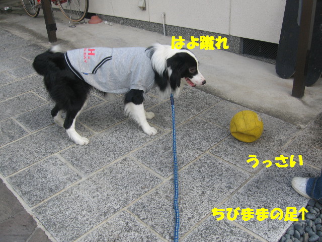 e0117976_14272099.jpg