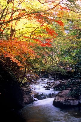 c0148582_95534.jpg