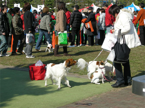 八景島よりクイズ♪&イヌリンピック_d0001985_2023477.jpg